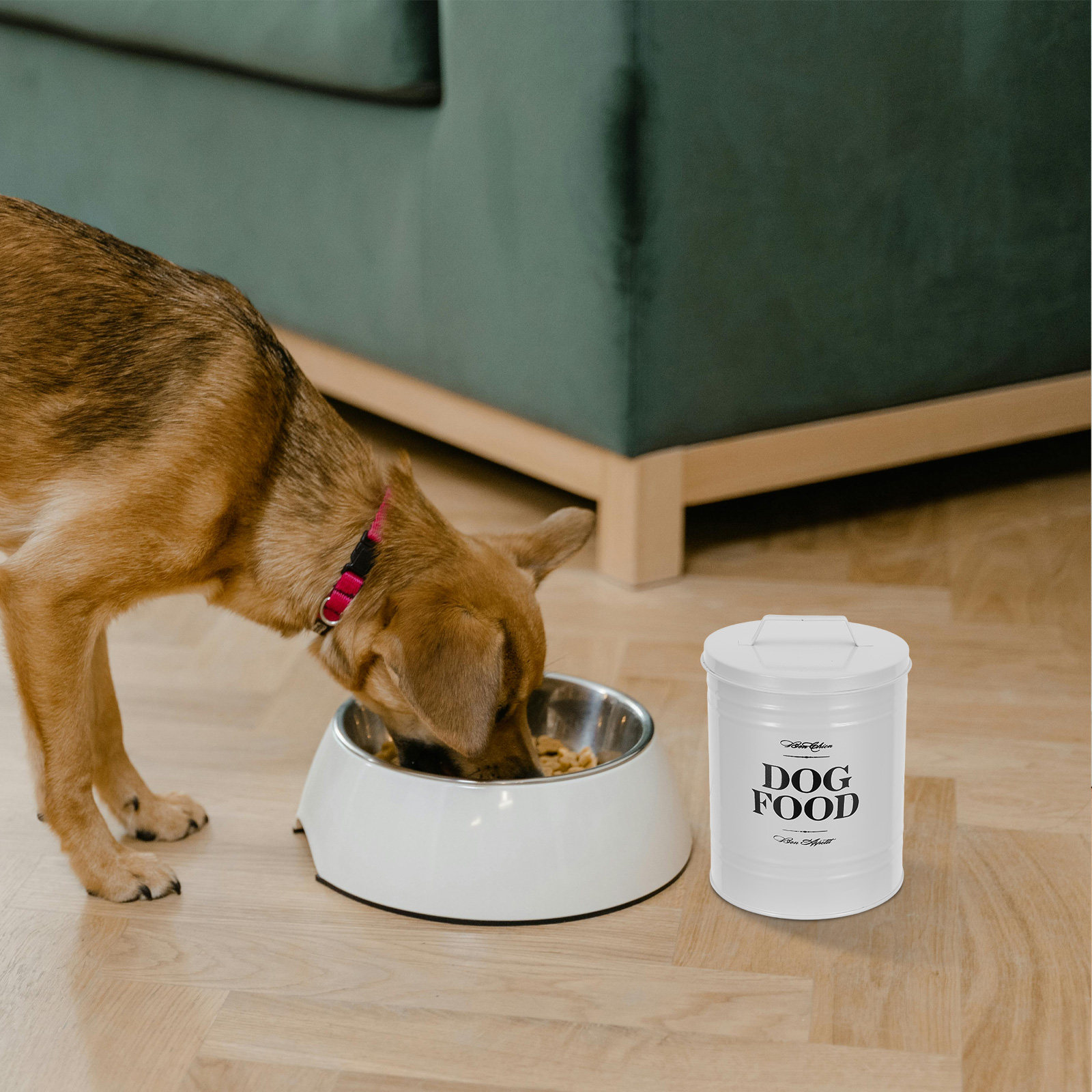 Contenitore per Cibo per Cani  - Food Snacks With Iron recensione e prezzo